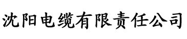 最污污污91香蕉电缆厂logo